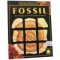 Simba Dickie Group 8016 - Fossil
